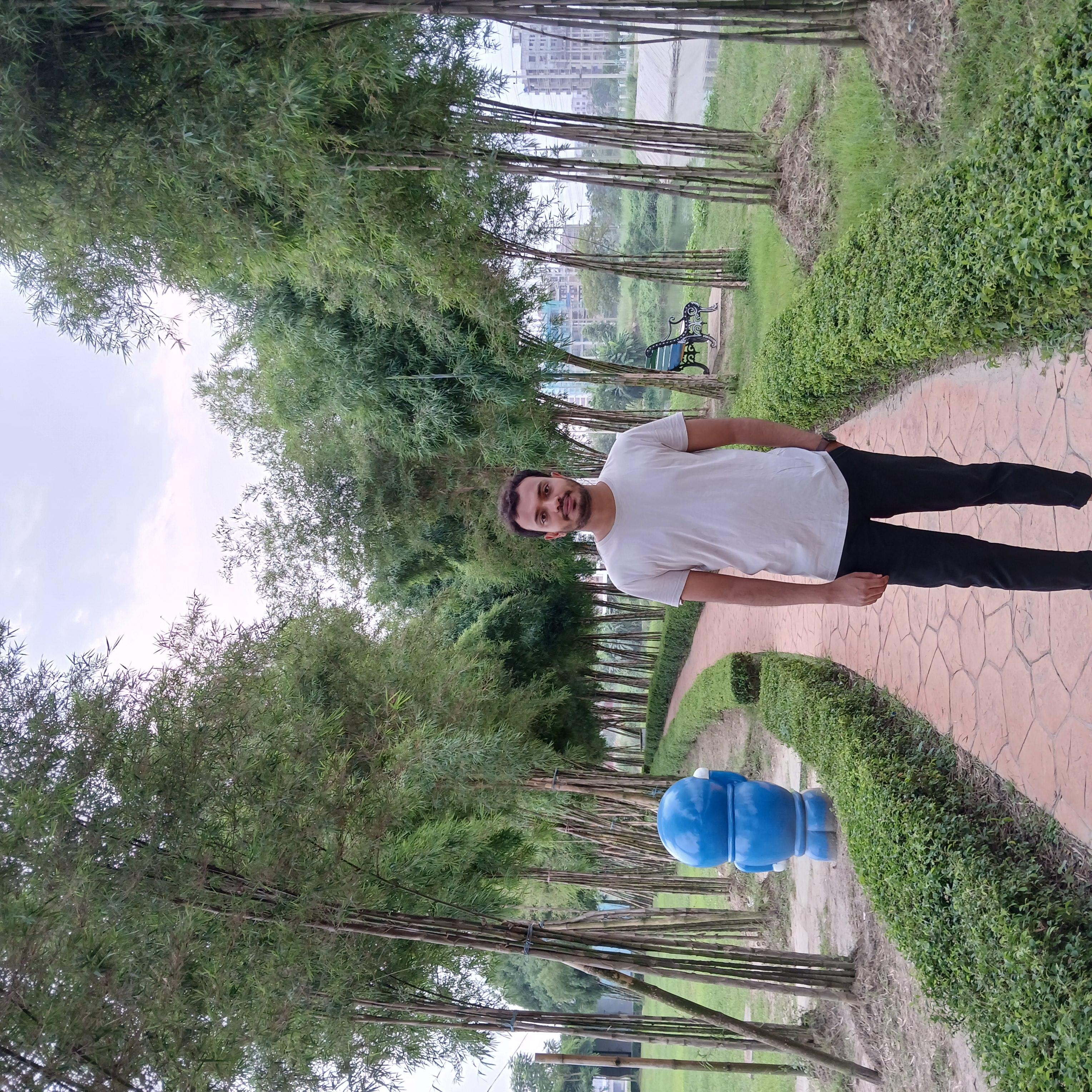 Picture