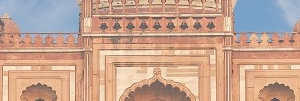 Jannatul Hammi